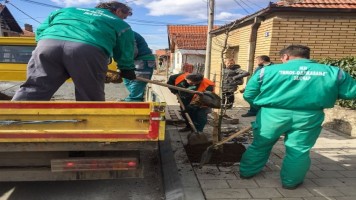 Завршени радови на садњи новог дрвореда у Которској улици, данас садња у улици 7.септембра