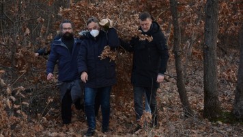 Зајечар: Сечење бадњака у зору -Срећан Бадњи дан