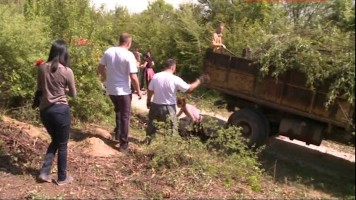 Зајечарци наставили са сређивањем Краљевице