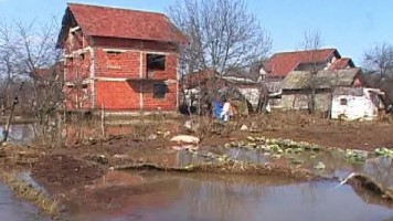 Помоћ за сточарска газдинства у Зајечару