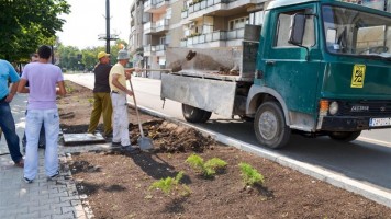 Уређује се зелени појас у центру Зајечара