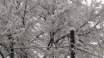 Квар на далеководу - салашки крај без струје