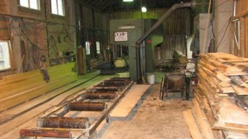 Како искористити тимочке шуме за економски развој?