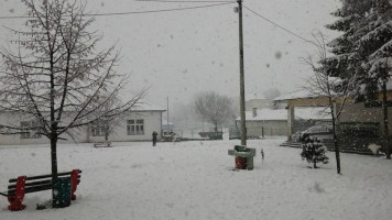 Без наставе у школама у Салашу и Малом Јасеновцу