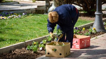 Пролећно уређење Зајечара