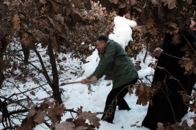 Представници Града Зајечара и цркве исекли бадњак 06.01.2015