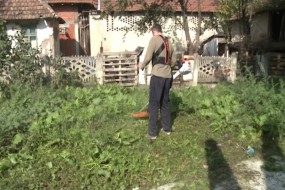 Уређење зелених површина у Гамзиграду