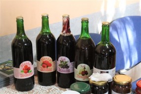 Унапређење пољопривредне производње у Тимочкој регији