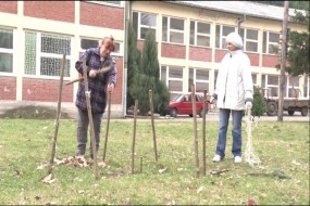 Велики Извор: Акција чишћења школског дворишта