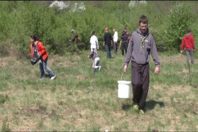 Почело сређивање парк шуме Краљевица
