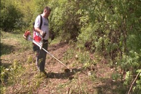 Зајечарци наставили са сређивањем Краљевице
