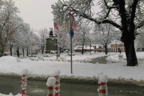 Зајечарске улице - 17.1.2016.