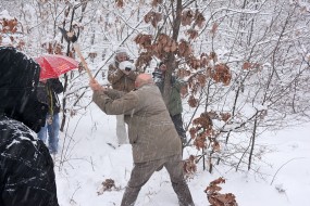 Сечење бадњака - 6.1.2017.