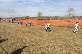 КРОС РТС 2017