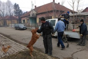 Кућице за псе