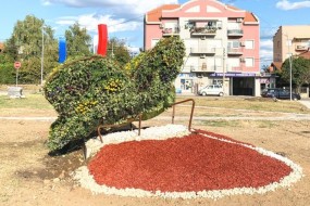 острвце