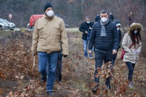 СРЕЋАН БАДЊИ ДАН: У рану зору по бадње дрво