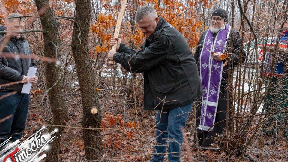 Традиција се наставља: На Бадње јутро по бадњак 