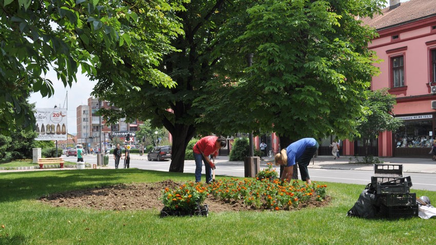 Градски трг мирише на кадифу